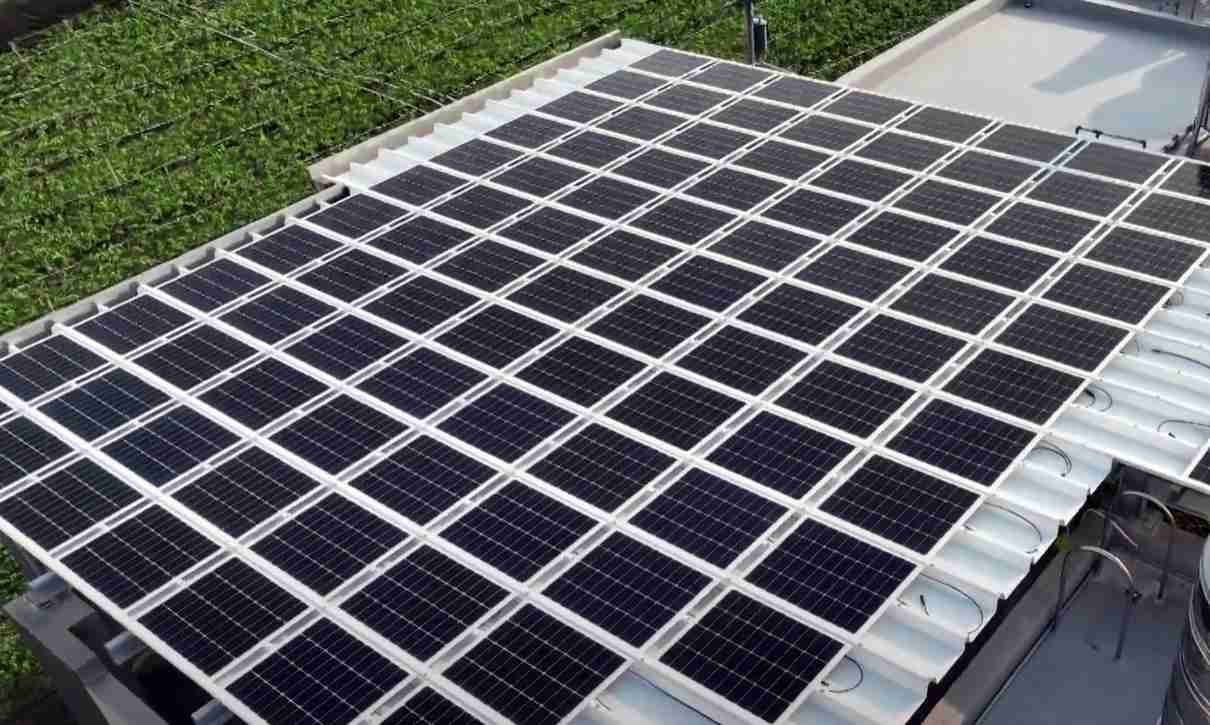 尊时凯龙SunSteel光电浪板升级双玻结构，，，，以提升机械负载强度及气候耐候度，，可广泛运用于多元场域