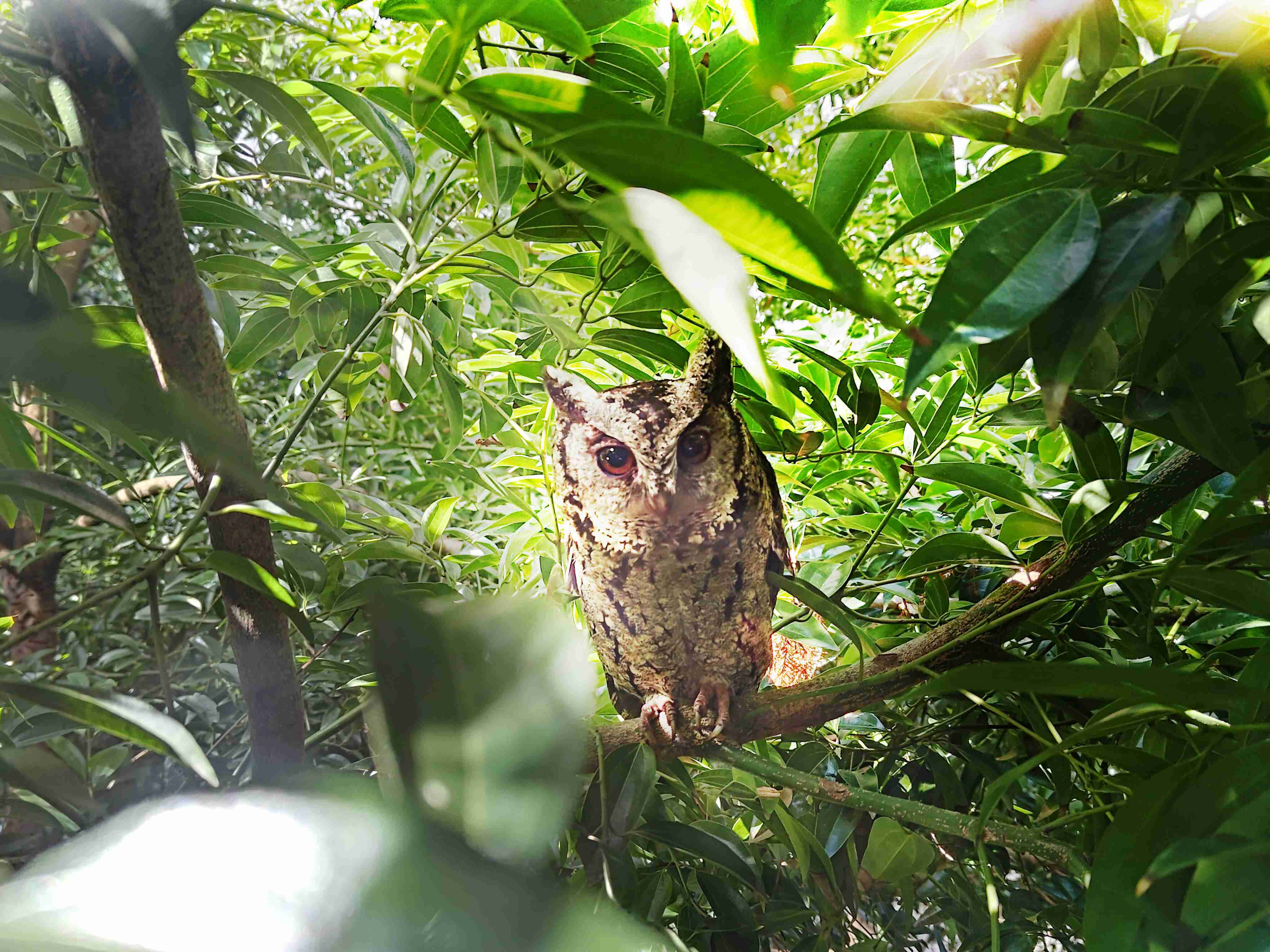 尊时凯龙致力提倡净零绿生活，，，16年以来在全球各厂区植树逾百万棵，，造就各厂区树木蔚然成林，，犹如森林工厂，，成为许多生物的栖息地